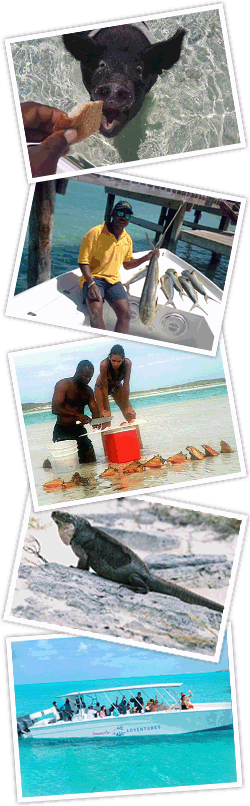 Exuma Cays Bahamas Adventure Tours Excursions Exuma Cays Bahamas Adventure Tours Excursions