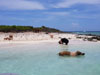 Exuma Water Tours