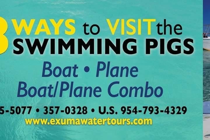 Ad for visiting swimming pigs: boat, plane, combo options. Contact info and image of pigs in water.