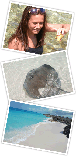 Collage: woman feeding stingray, stingray in water, tropical beach with clear blue water.