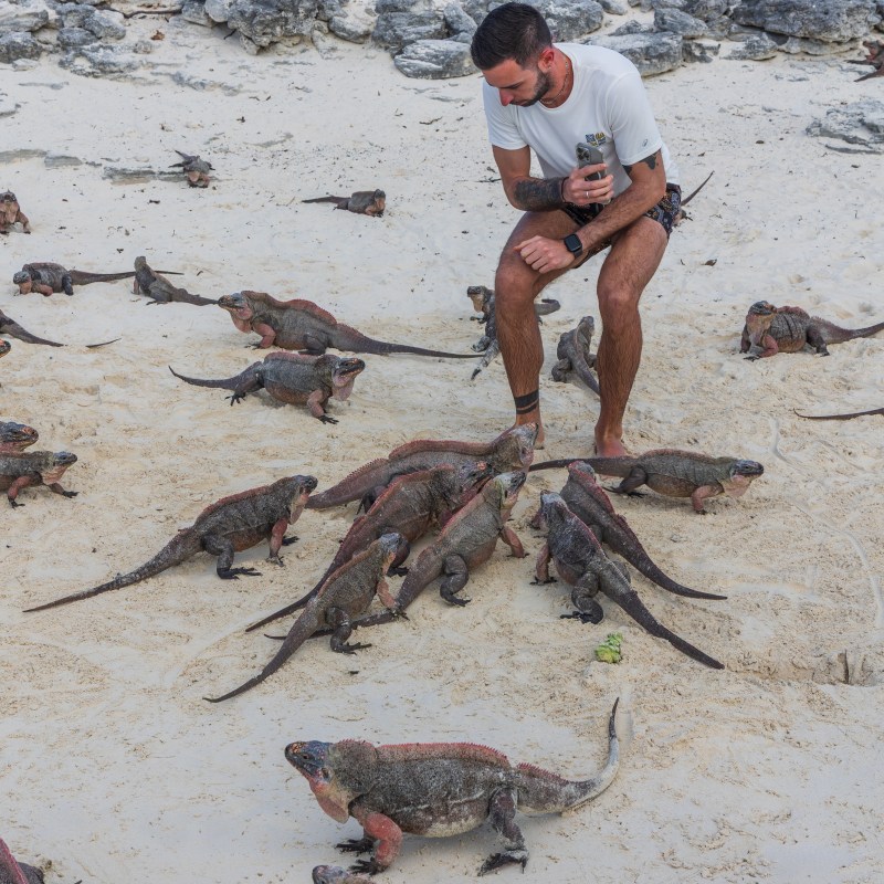 Man on sandy beach surrounded by numerous iguanas, with rocky and leafy background.