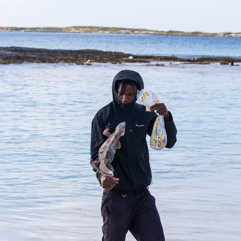 Person on beach holding a shoe and a lizard near the shoreline.
