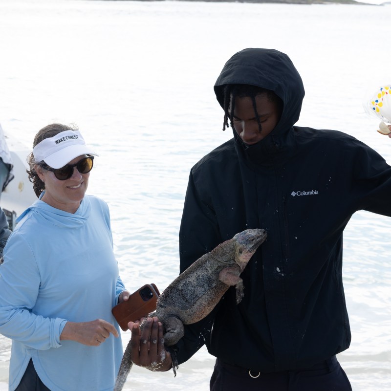Person holding iguana next to another on a beach.